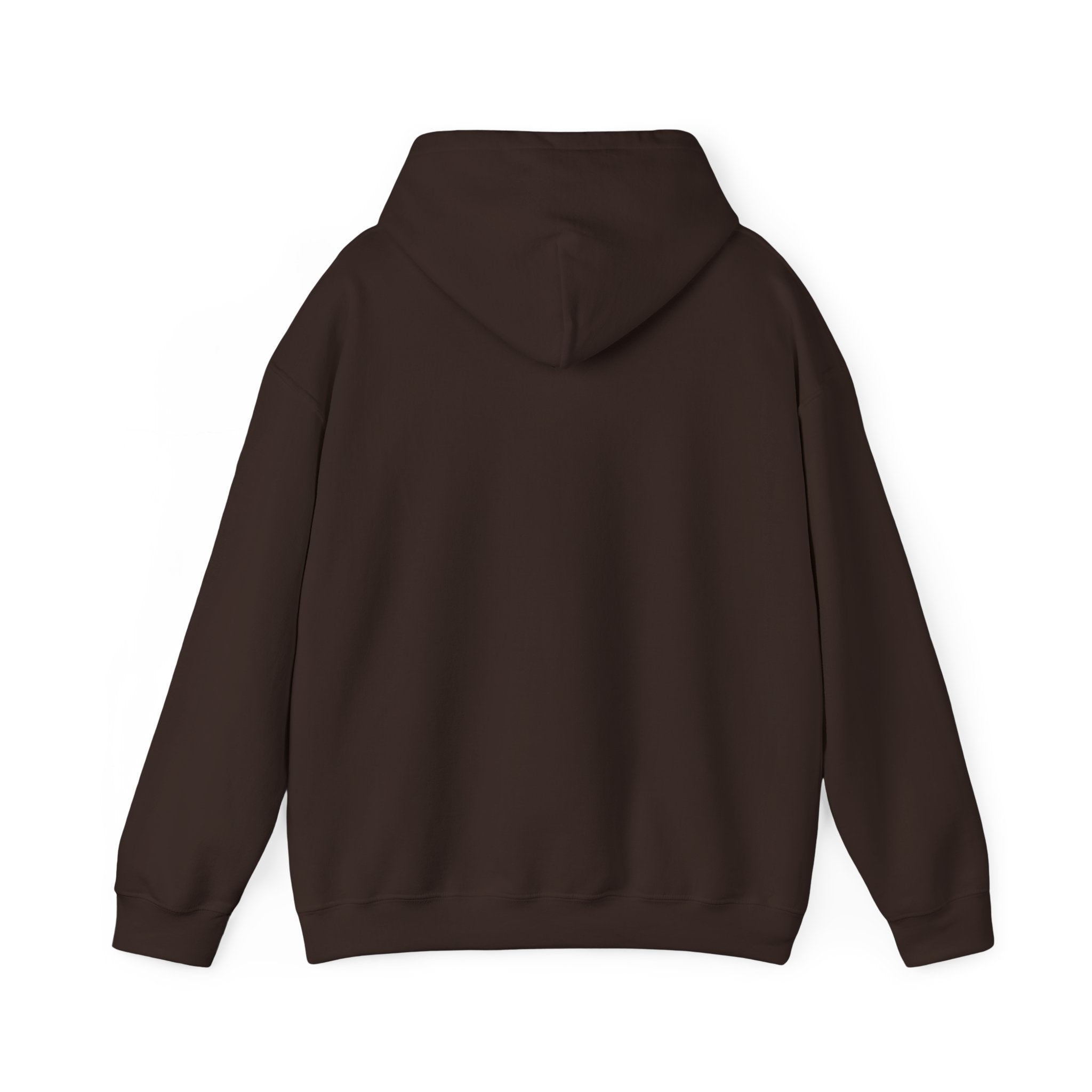 proudly-punjabi-hoodie
