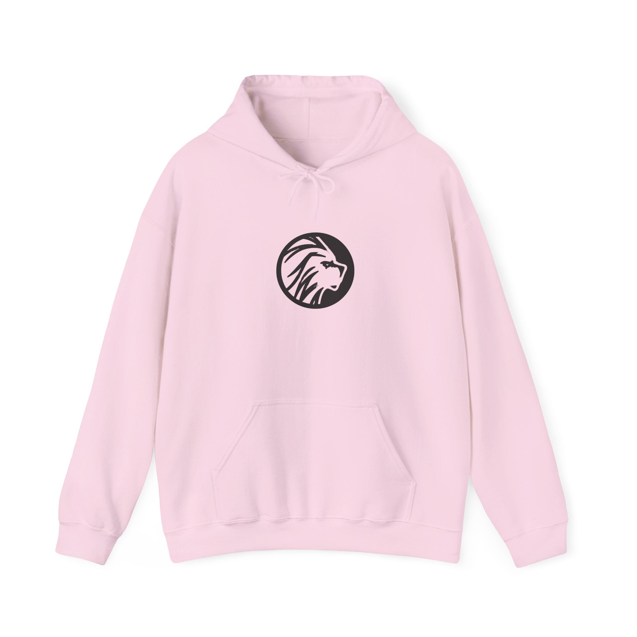 proudly-punjabi-hoodie
