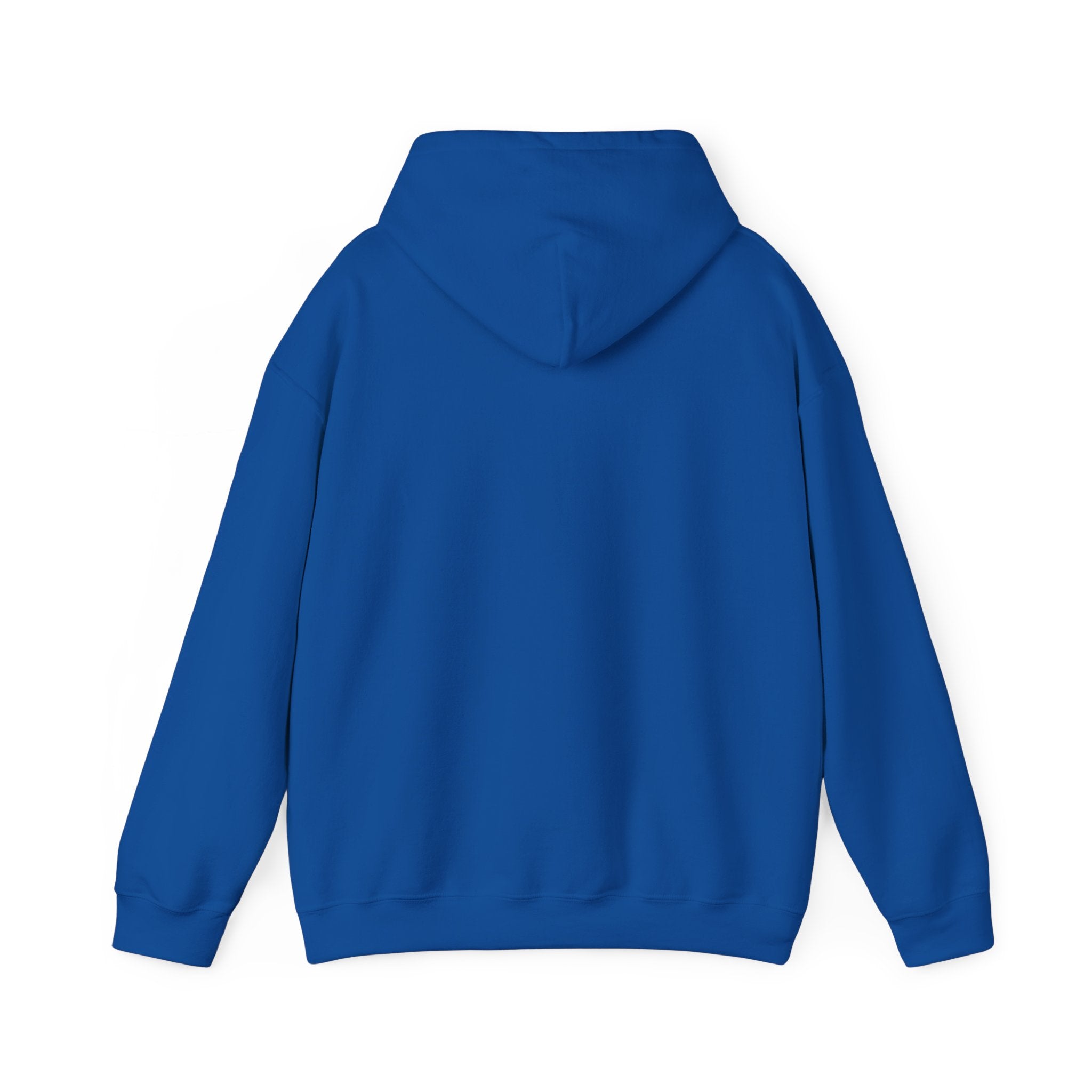 proudly-punjabi-hoodie