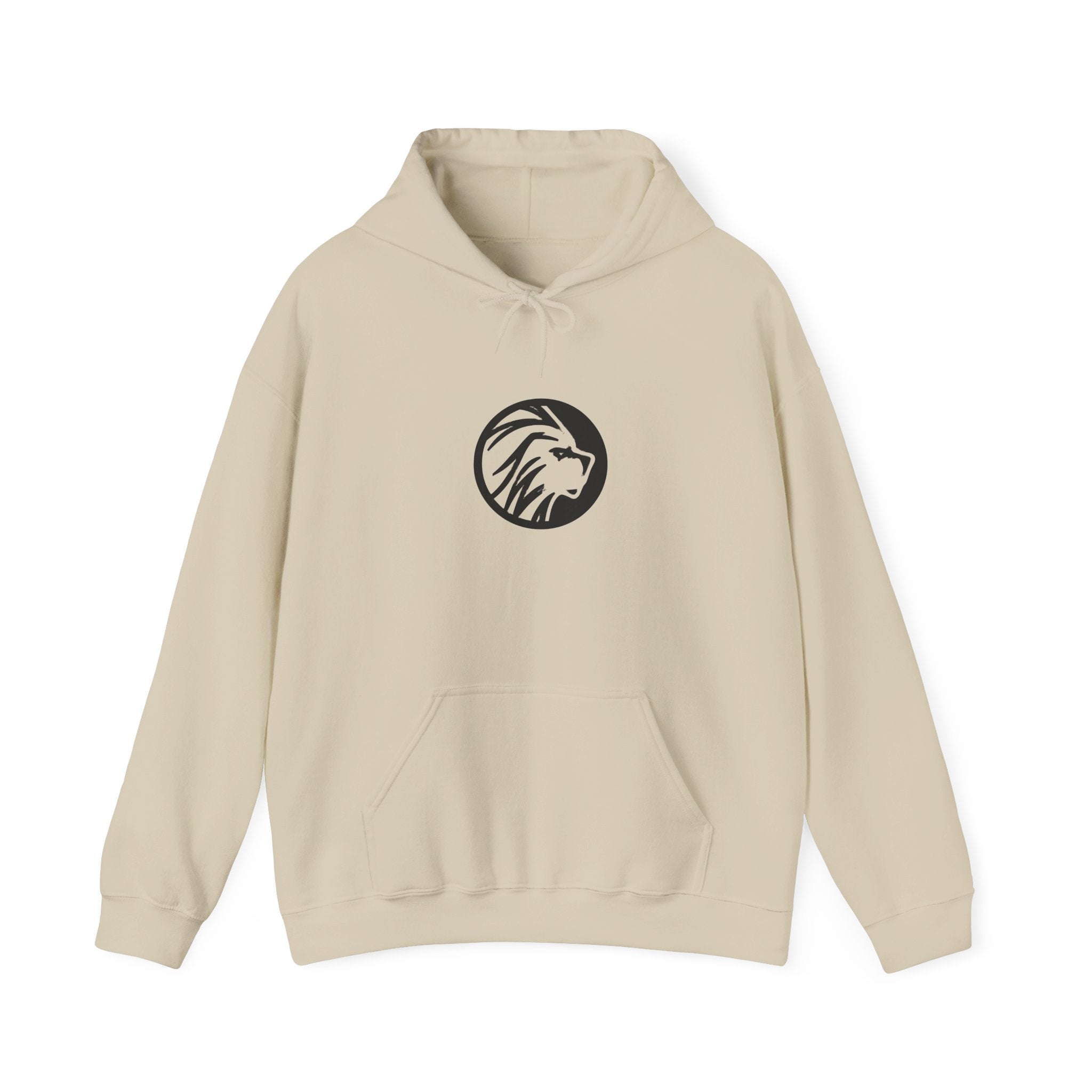 proudly-punjabi-hoodie