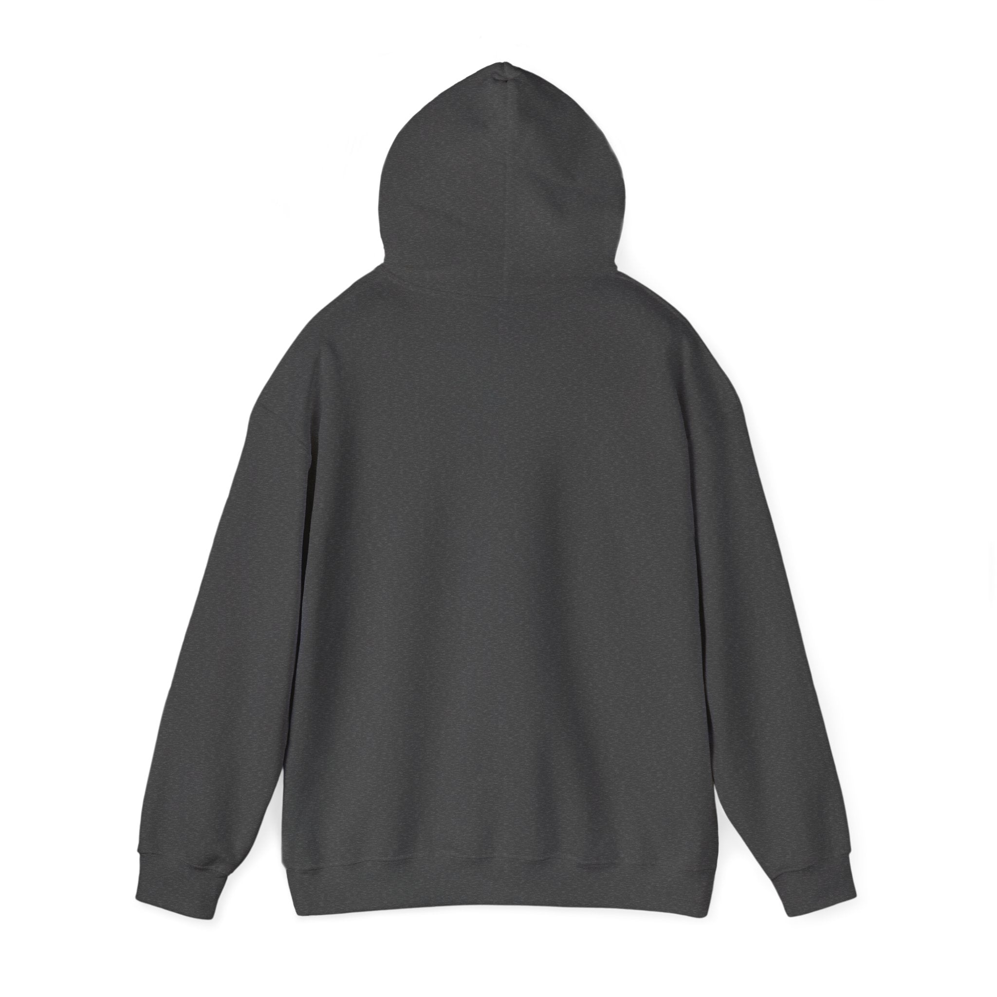 proudly-punjabi-hoodie