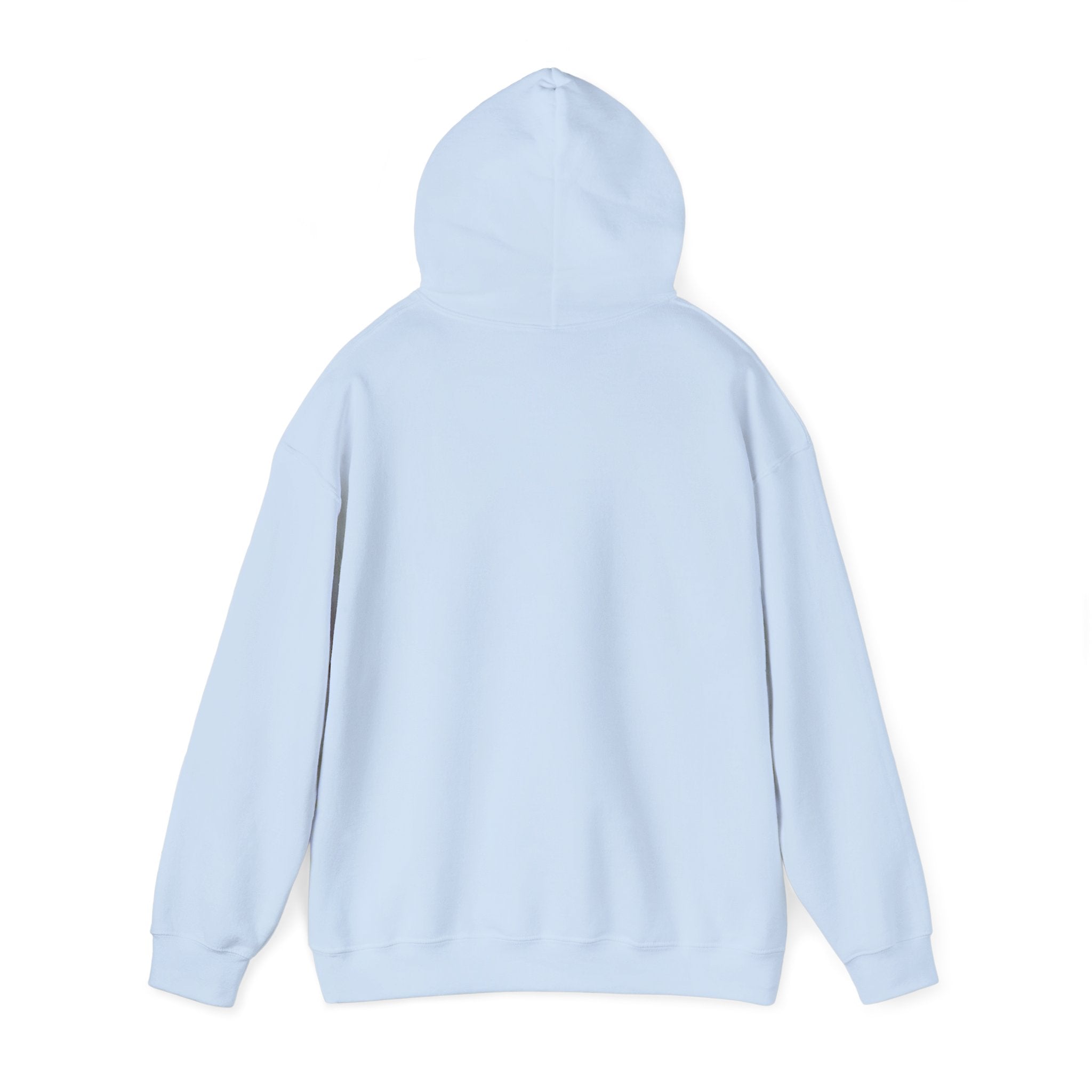 proudly-punjabi-hoodie