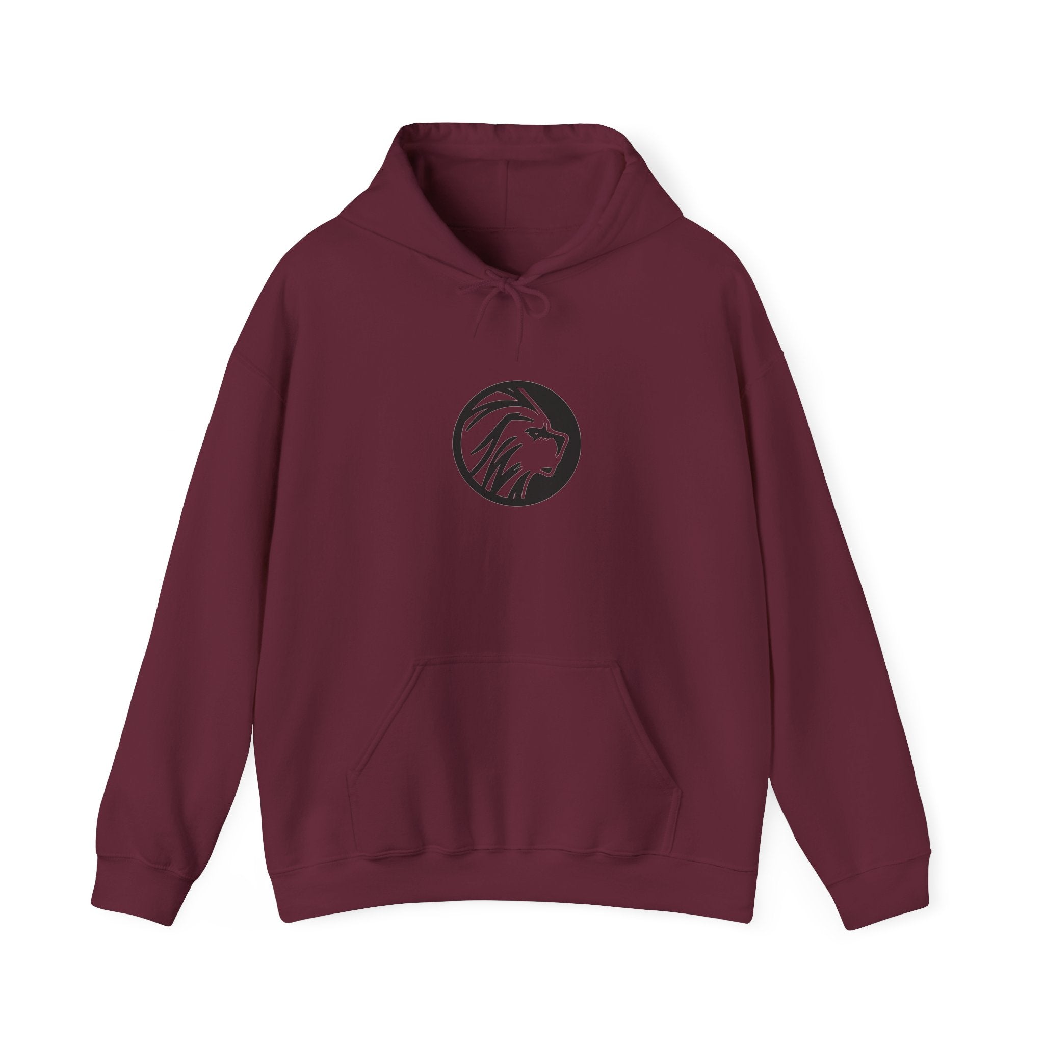 proudly-punjabi-hoodie