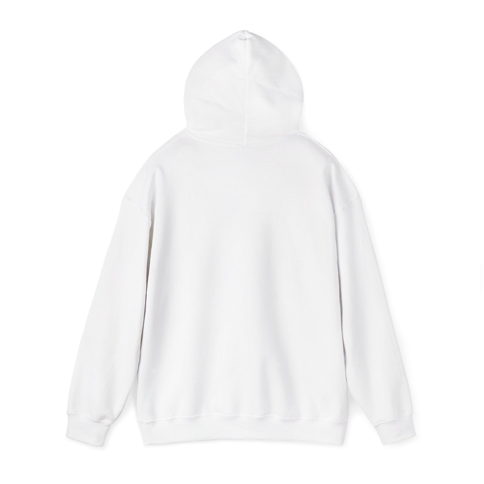 proudly-punjabi-hoodie