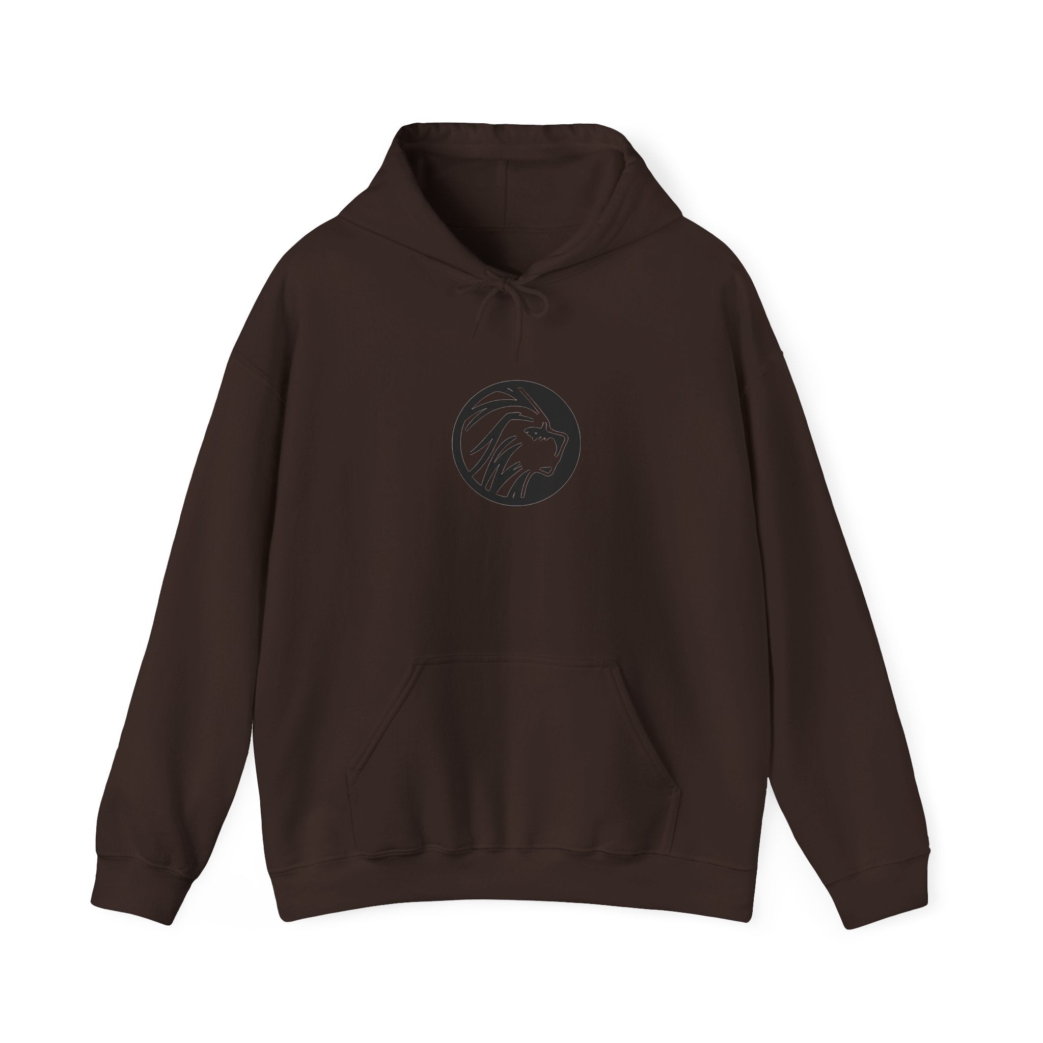 proudly-punjabi-hoodie