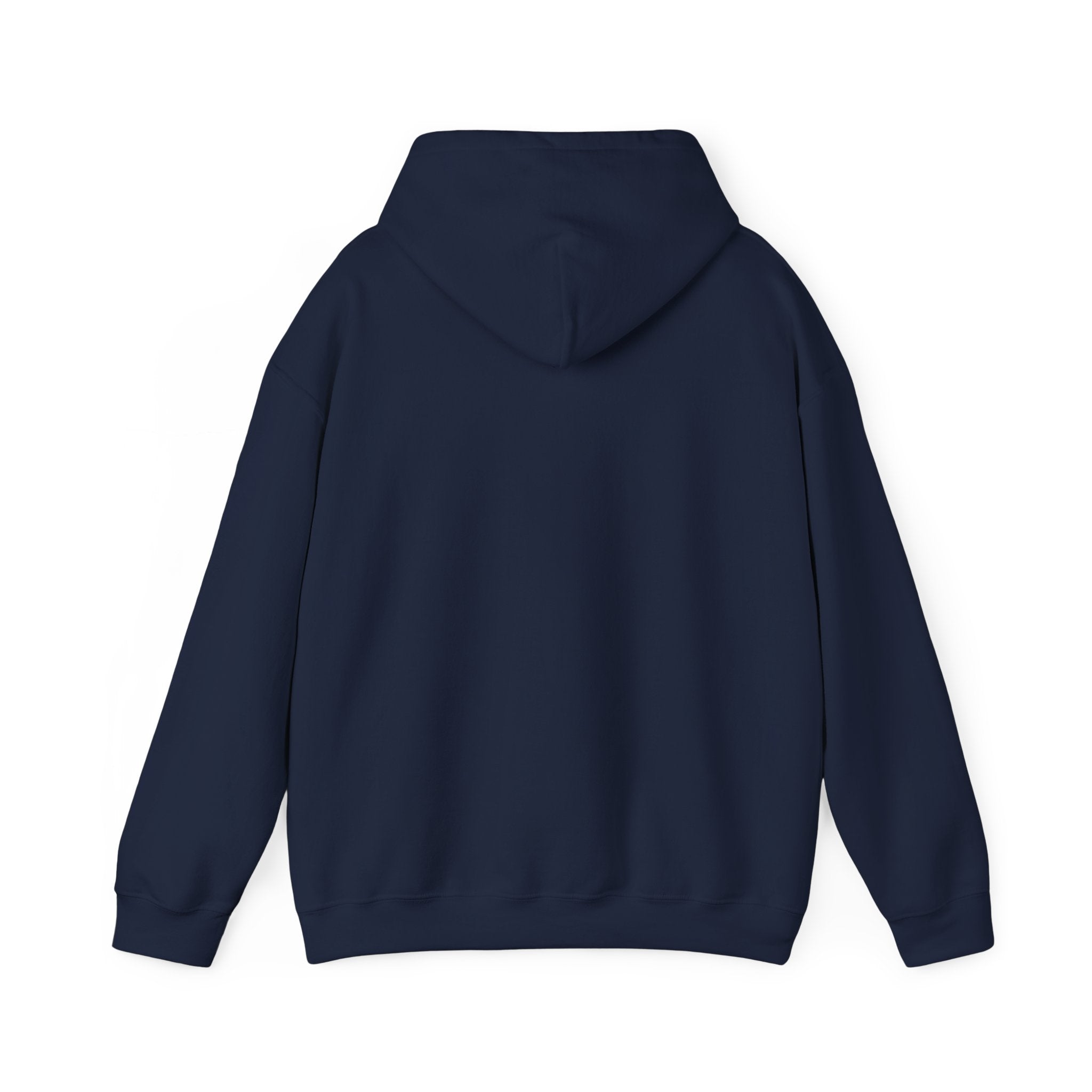 proudly-punjabi-hoodie