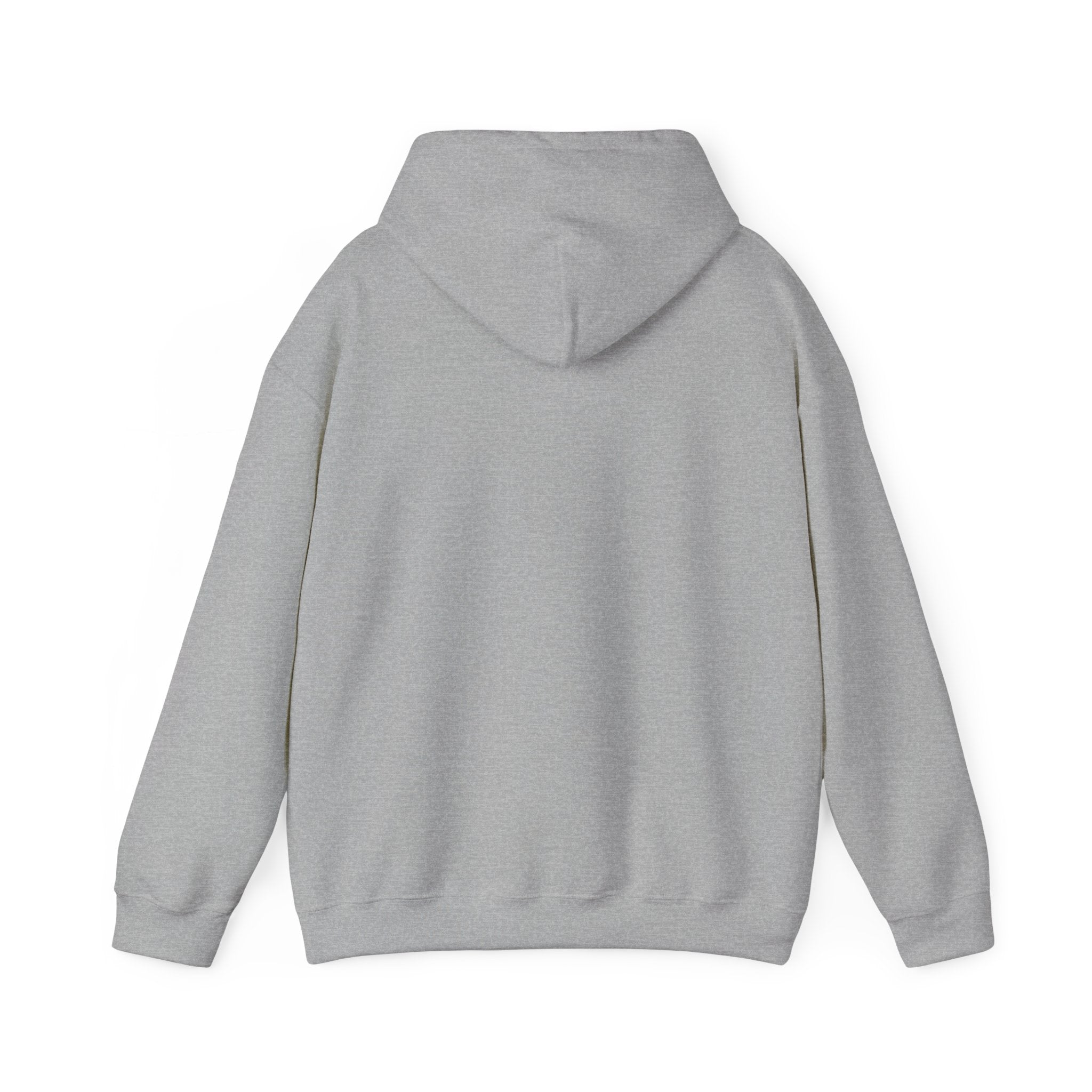 proudly-punjabi-hoodie
