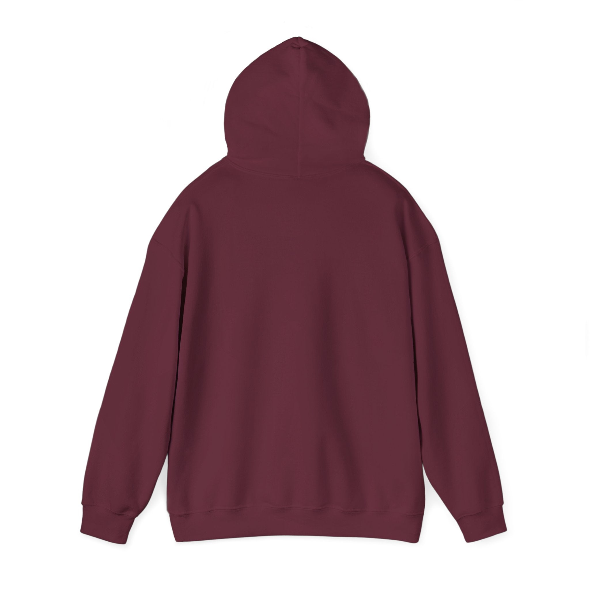 proudly-punjabi-hoodie