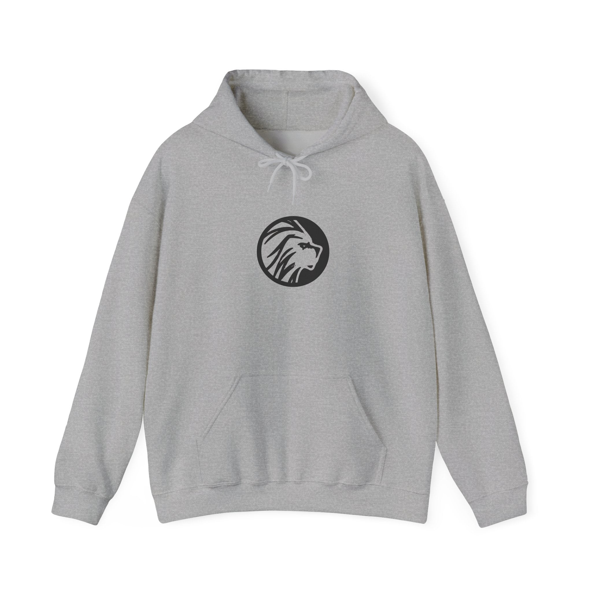 proudly-punjabi-hoodie