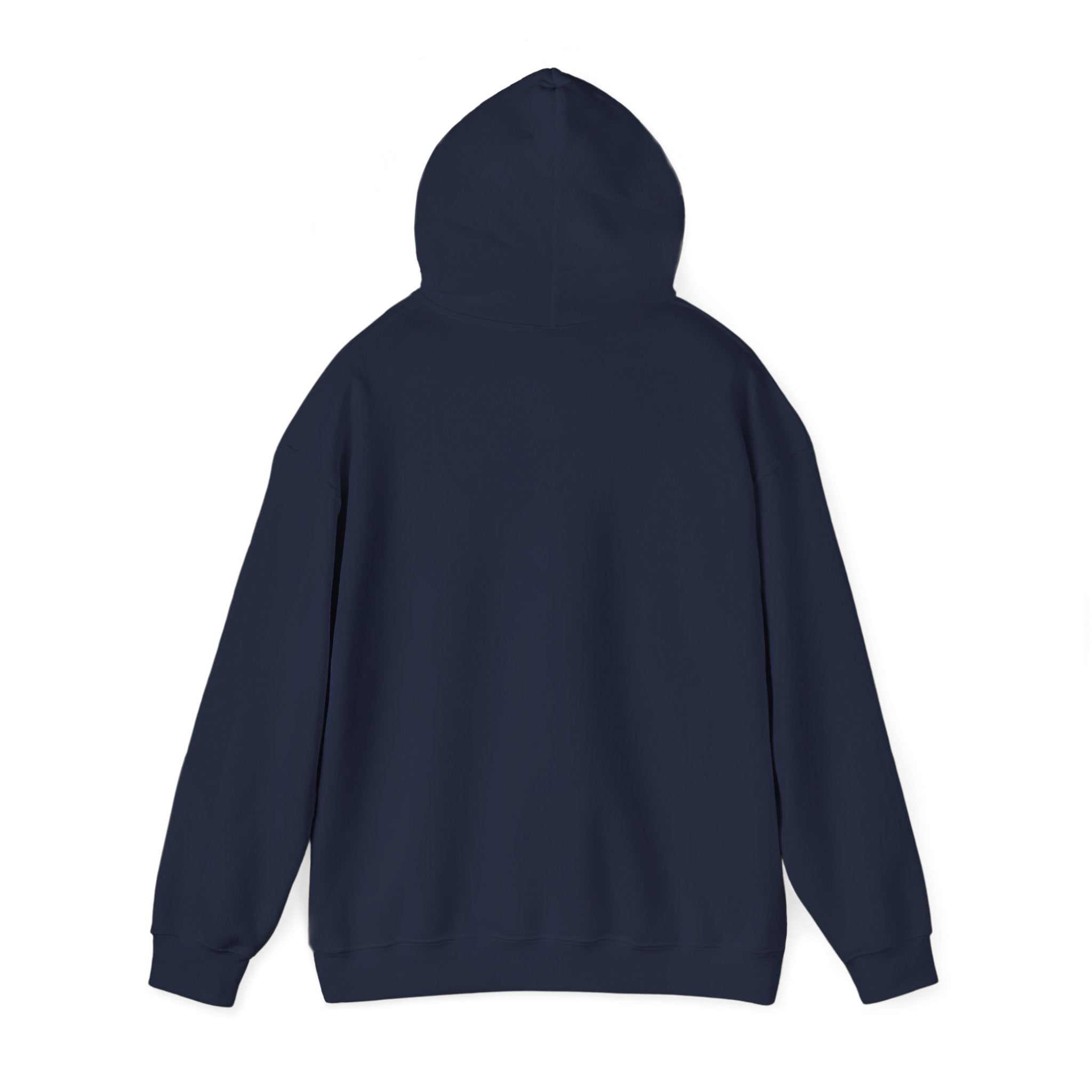 proudly-punjabi-hoodie