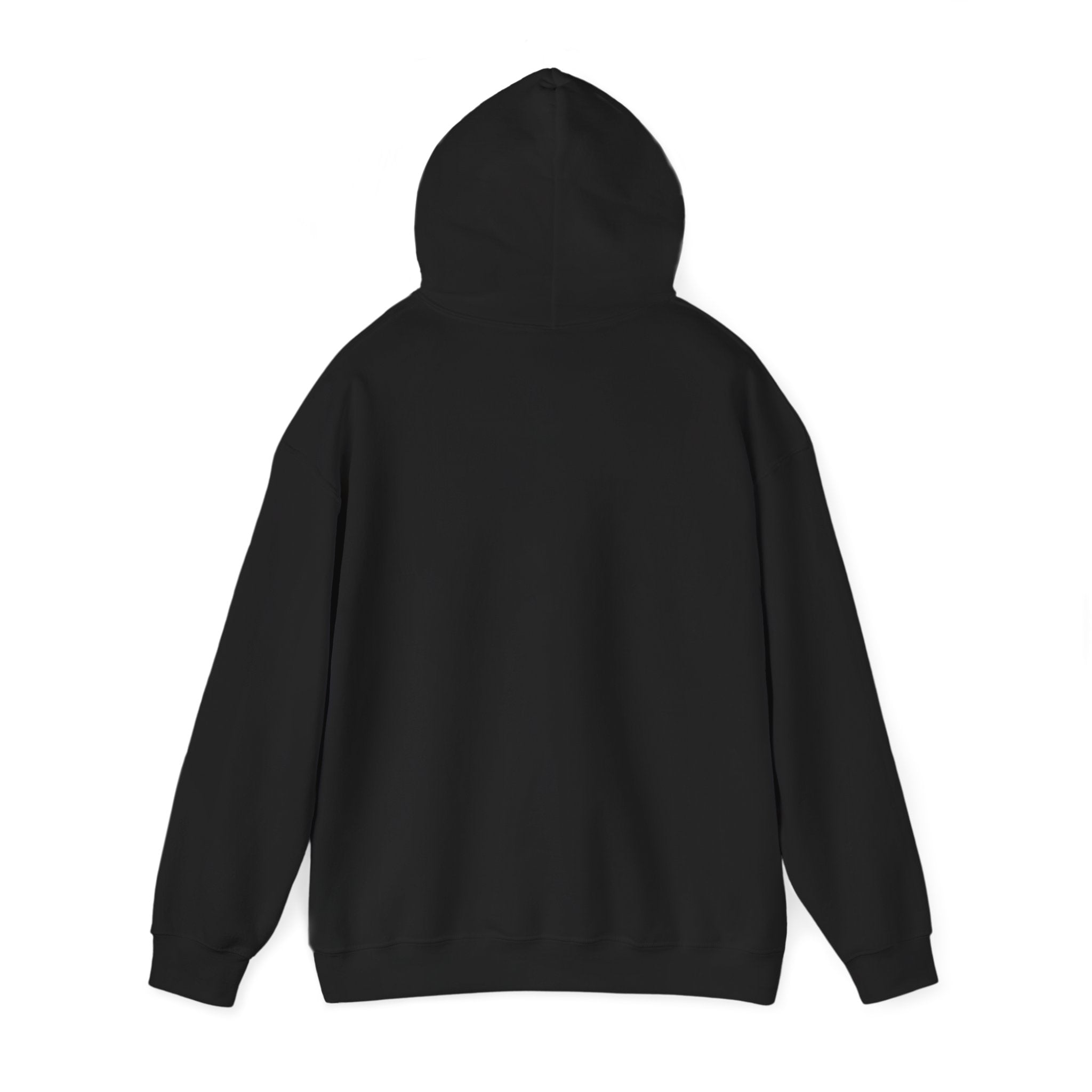 proudly-punjabi-hoodie