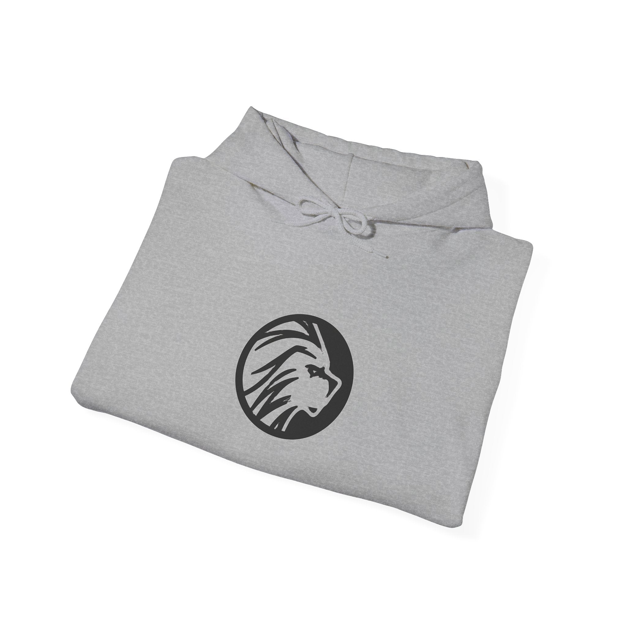 proudly-punjabi-hoodie