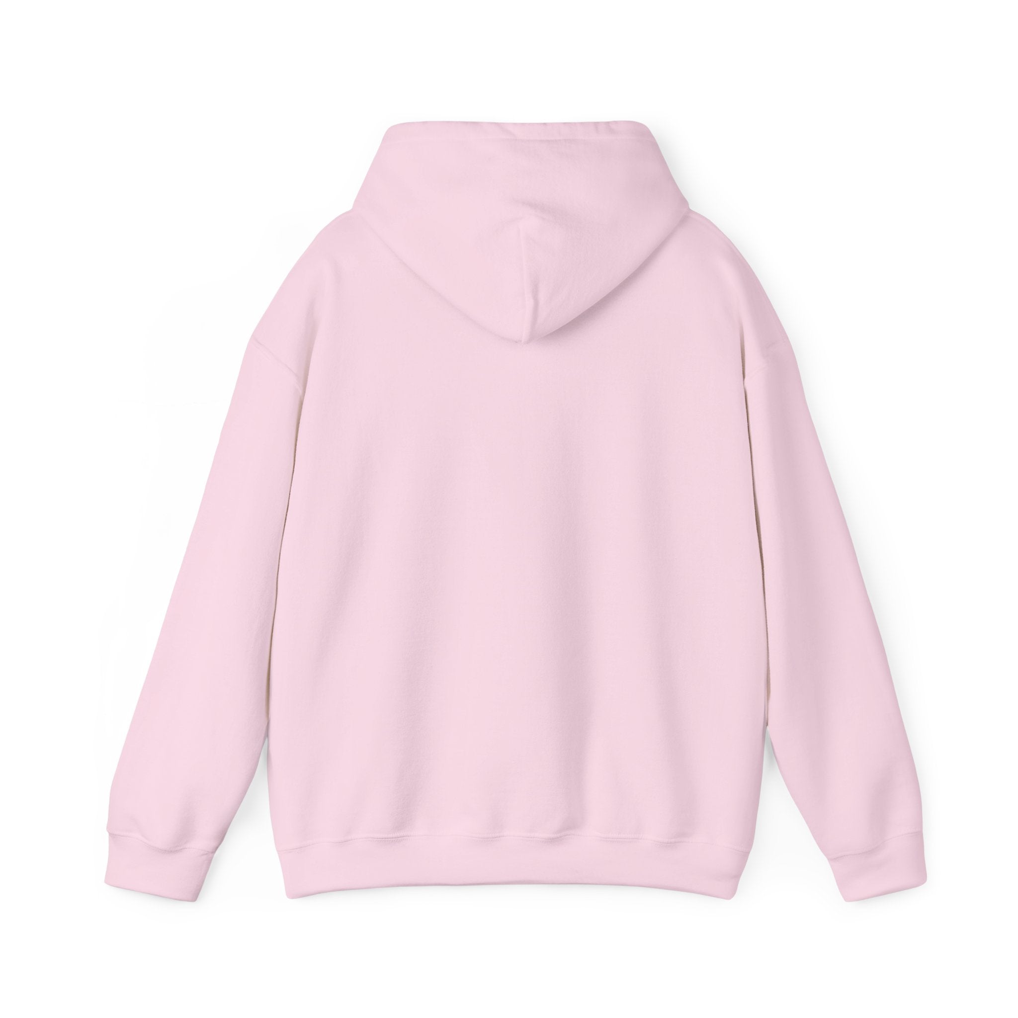 proudly-punjabi-hoodie
