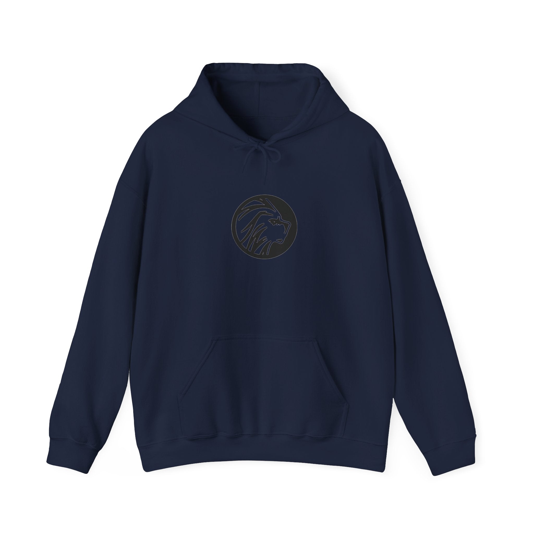 proudly-punjabi-hoodie
