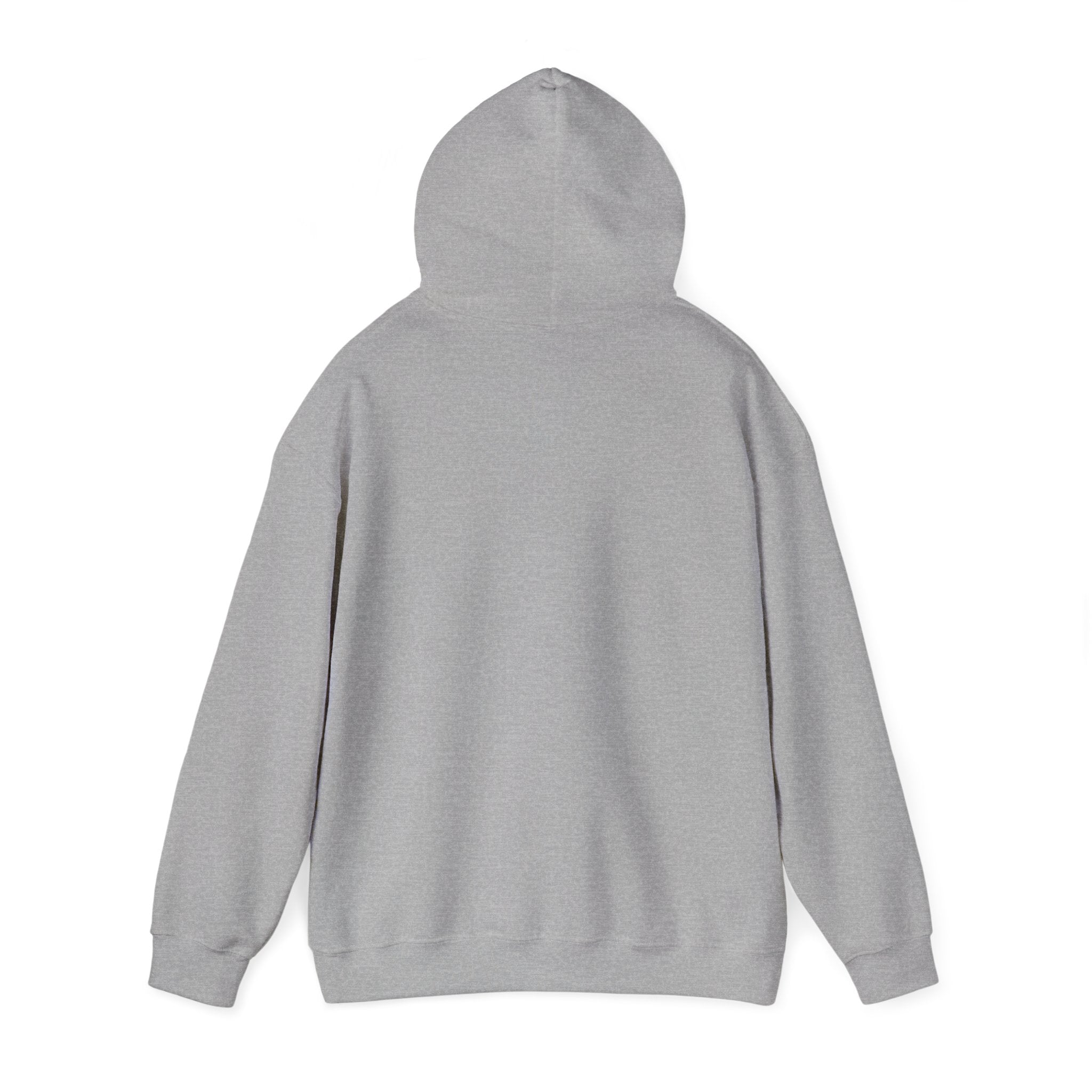 proudly-punjabi-hoodie