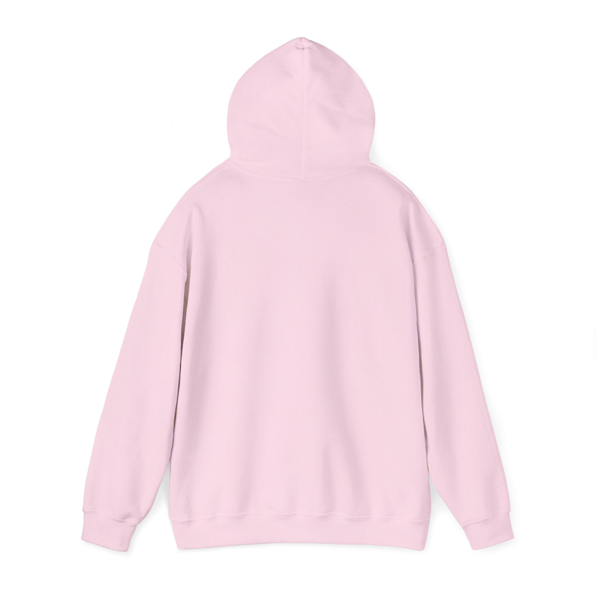 proudly-punjabi-hoodie