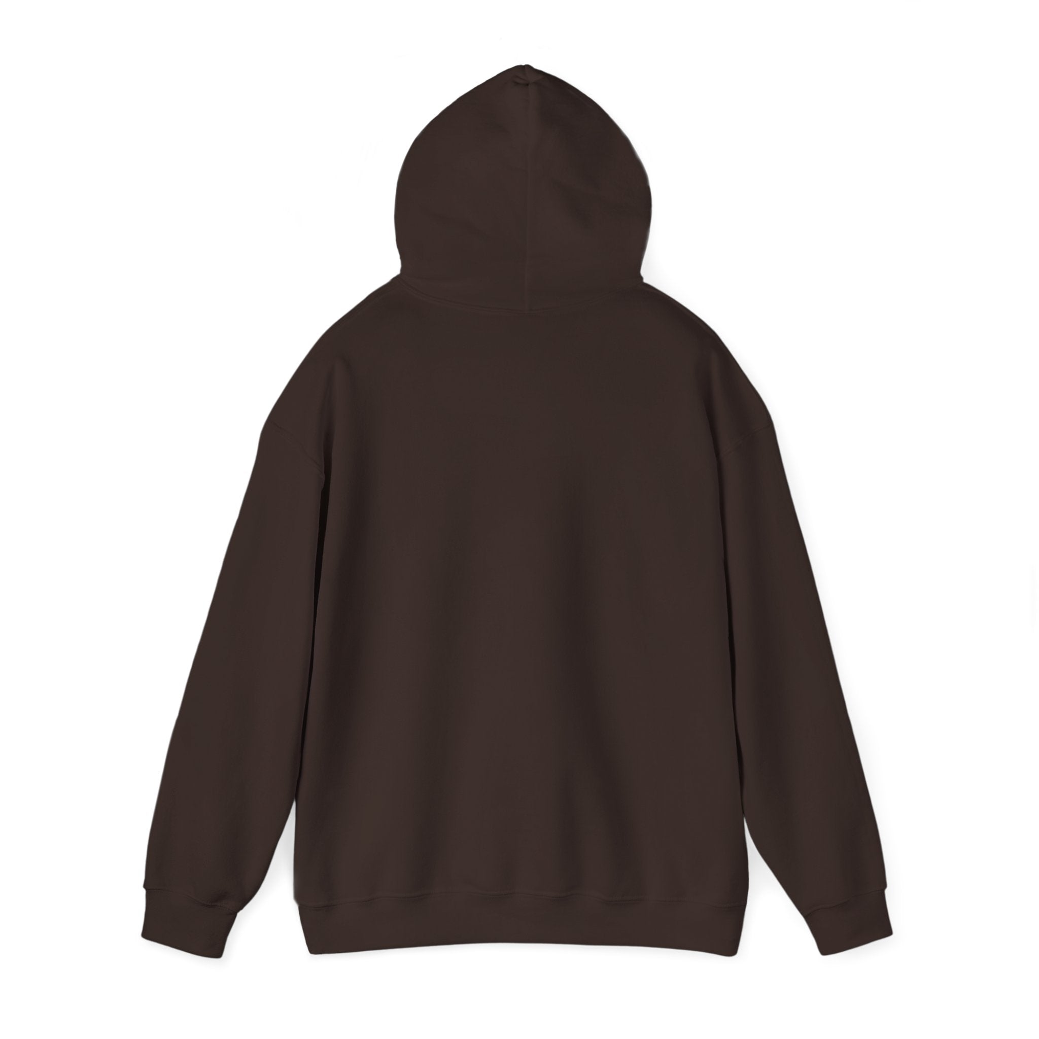proudly-punjabi-hoodie