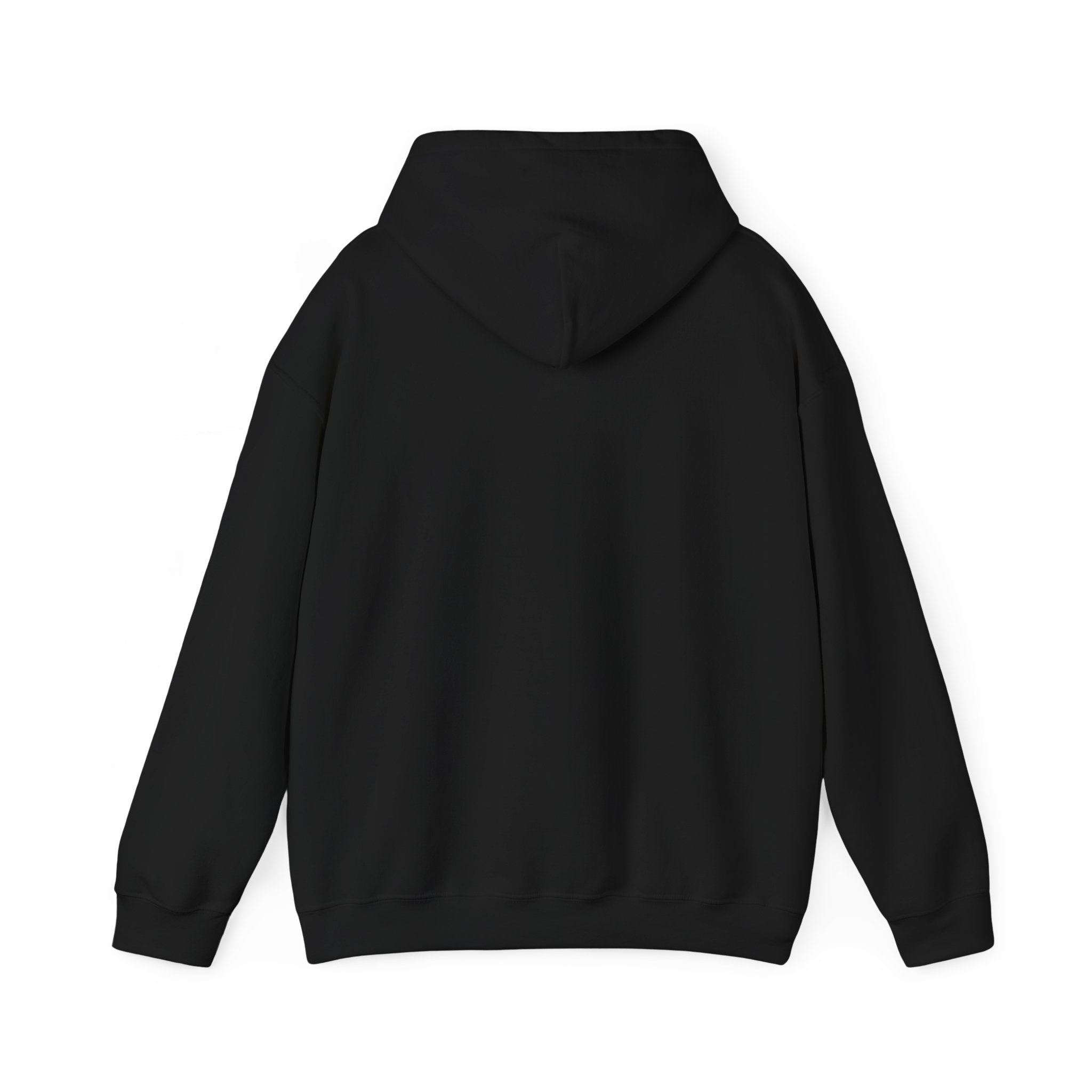 proudly-punjabi-hoodie