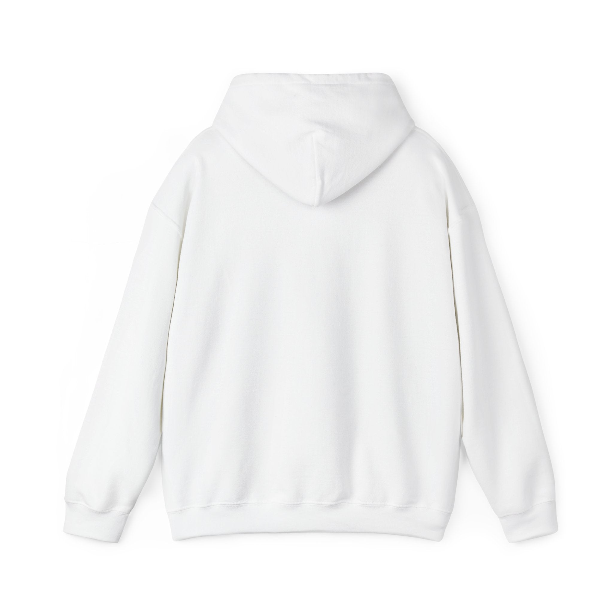 proudly-punjabi-hoodie