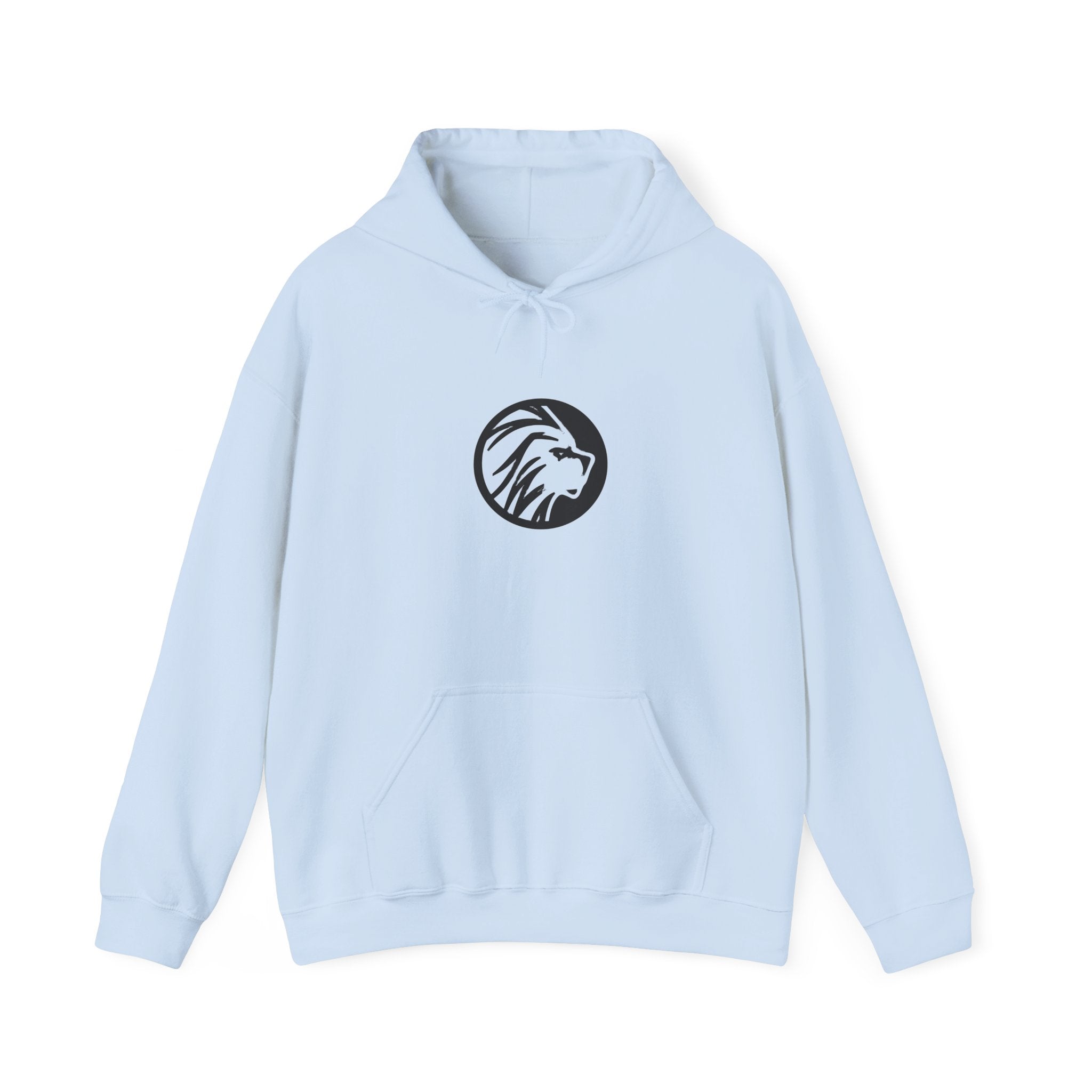 proudly-punjabi-hoodie