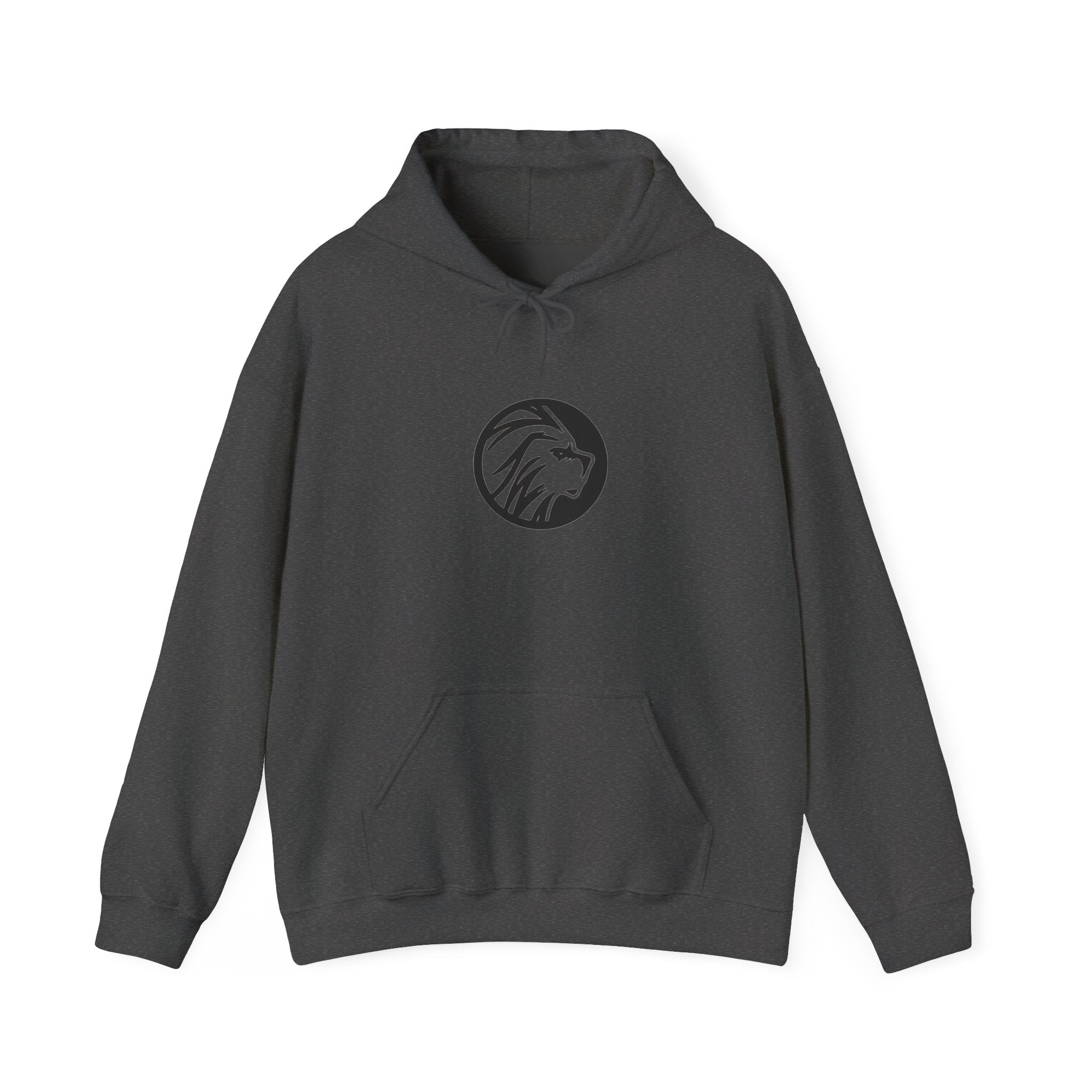 proudly-punjabi-hoodie