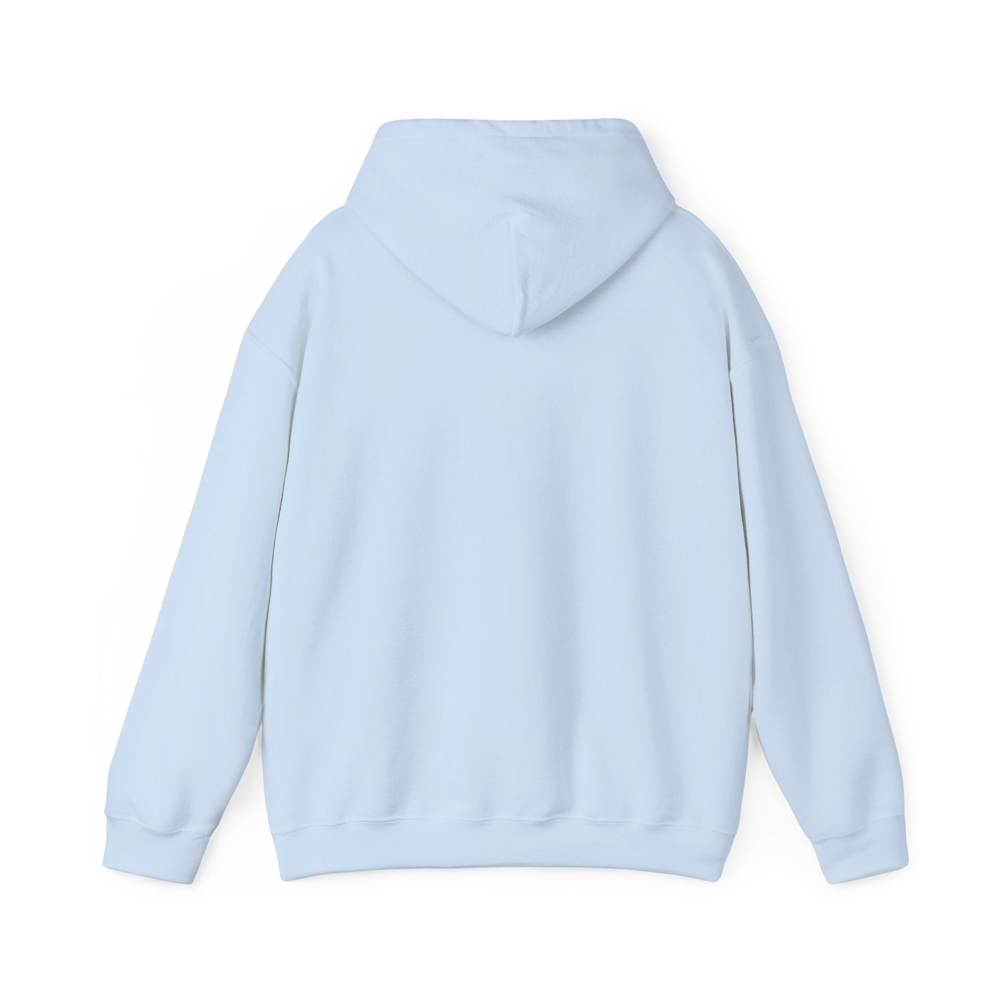 proudly-punjabi-hoodie