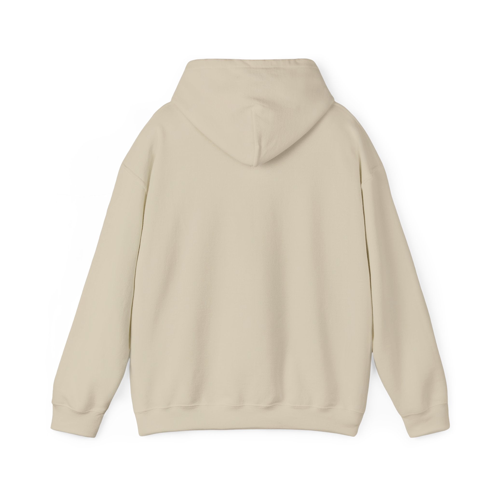 proudly-punjabi-hoodie