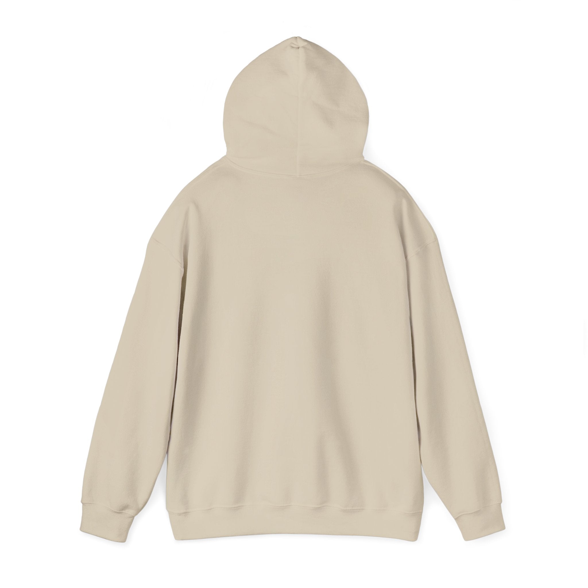 proudly-punjabi-hoodie